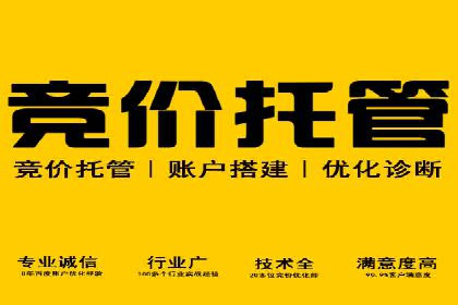 成功SEM竞价托管案例分析报告